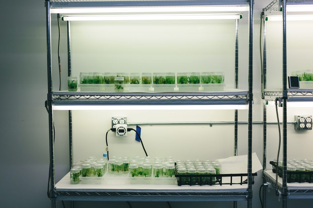 plant tissue culture laboratory equipments